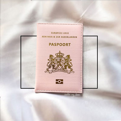 Passport and License Containers